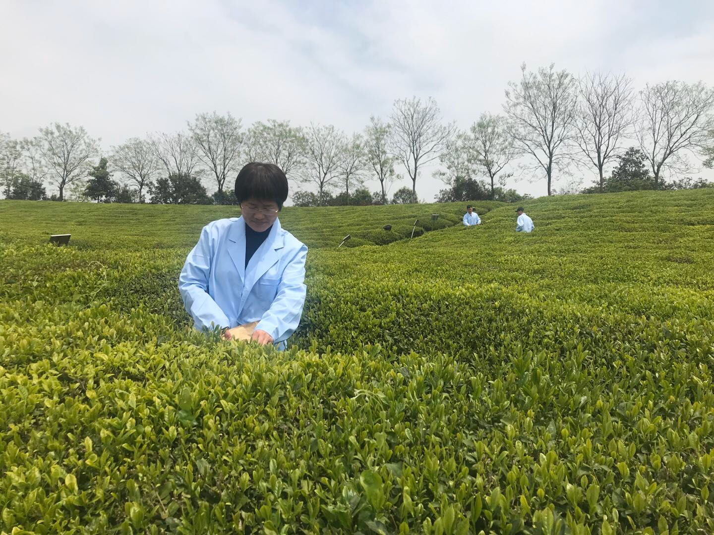 博彩平台网址大全