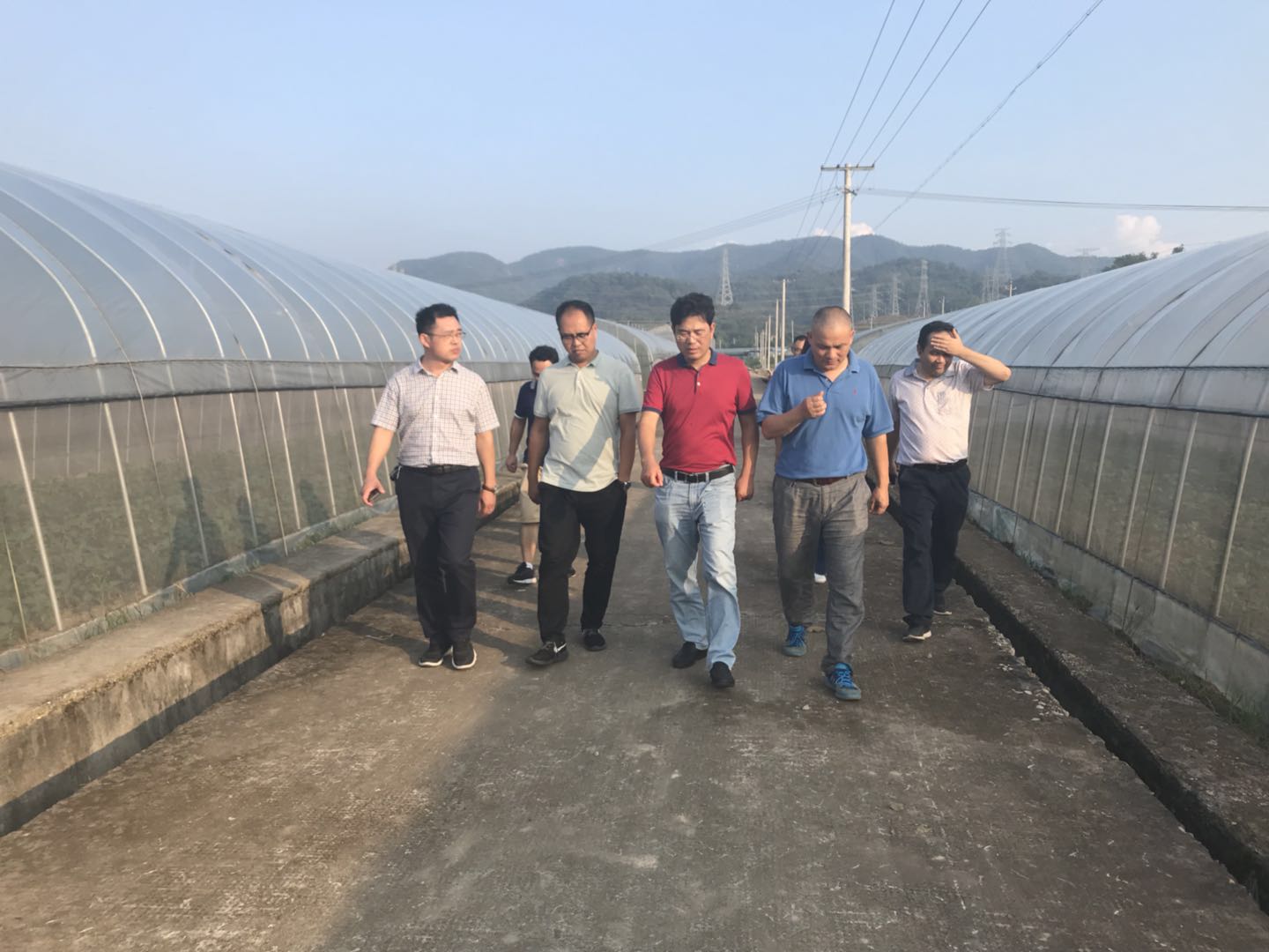 博彩平台网址大全